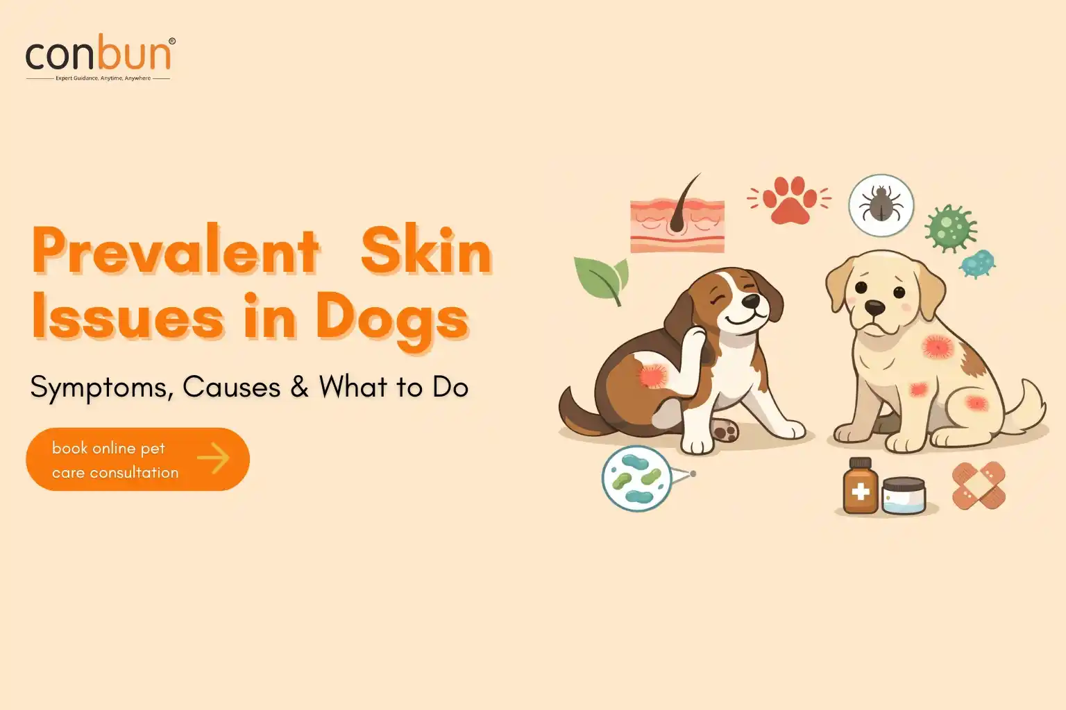 Prevalent Skin Issues in Dogs (With Pictures): Symptoms, Causes & What to Do